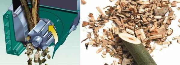 Как выбрать садовый измельчитель для веток и травы — лучшие модели