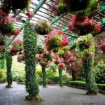 Как сделать перголу своими руками Как сделать перголу своими руками