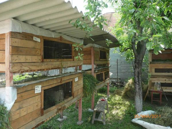 Как сделать крольчатник