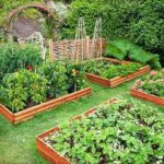 Декоративный огород: делаем красивые грядки — 60 фото Декоративный огород: делаем красивые грядки — 60 фото