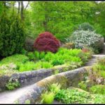 Декоративный огород: делаем красивые грядки — 60 фото Декоративный огород: делаем красивые грядки — 60 фото