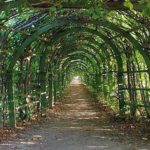 Как сделать перголу своими руками Как сделать перголу своими руками