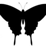 Трафареты бабочек для декора Трафареты бабочек для декора