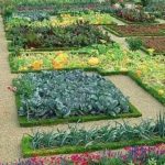 Декоративный огород: делаем красивые грядки — 60 фото Декоративный огород: делаем красивые грядки — 60 фото