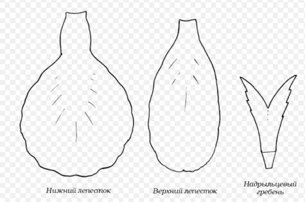 Как сделать цветы из гофробумаги (60 фото)