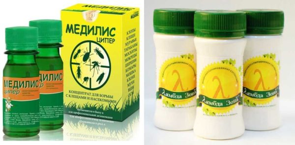 Избавляемся от насекомых в ванной