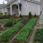 Декоративный огород: делаем красивые грядки — 60 фото Декоративный огород: делаем красивые грядки — 60 фото
