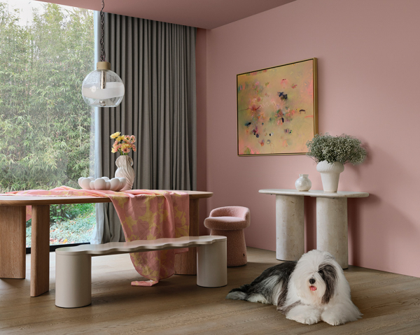 Цветные вдохновения: буйство красок в новом каталоге Dulux 2026