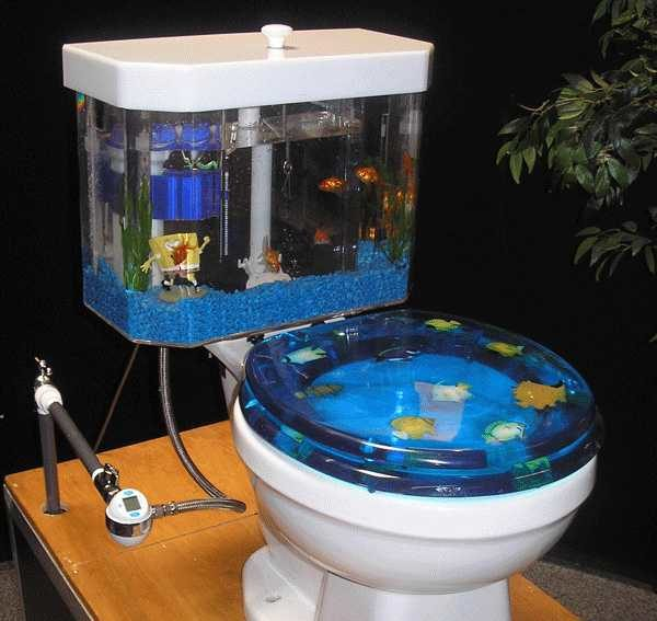 Какой  унитаз лучше выбрать