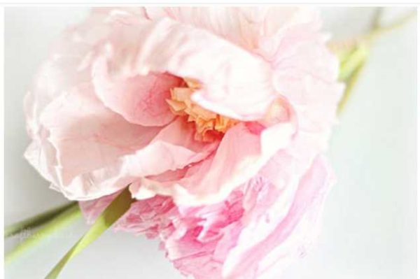 Как сделать цветы из гофробумаги (60 фото)