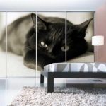 Идеи оформления и наполнения шкафов купе для спальни