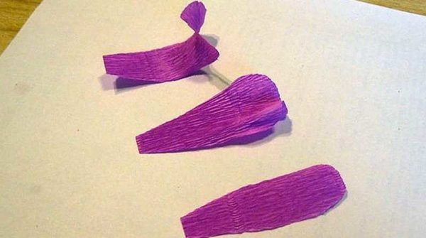 Как сделать цветы из гофробумаги (60 фото)