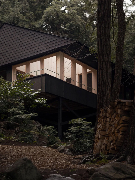 Стильный интерьер в окружении леса в Канаде