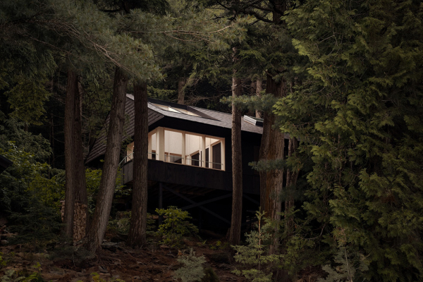 Стильный интерьер в окружении леса в Канаде