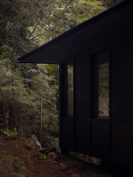 Стильный интерьер в окружении леса в Канаде