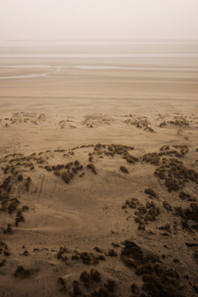 Стильный песочный минимализм в Бельгии Стильный песочный минимализм в Бельгии