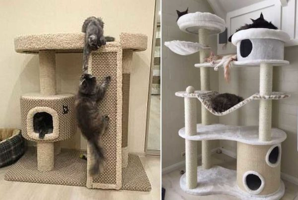 Кошачий домик своими руками