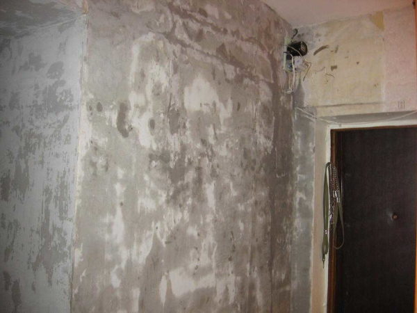 Отделка стен, потолка мокрыми (жидкими) обоями Отделка стен, потолка мокрыми (жидкими) обоями