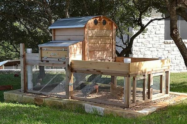 Как построить птичник на 10-20 кур своими руками Как построить птичник на 10-20 кур своими руками