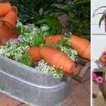 Садовые и дачные поделки: новинки (75 фото)