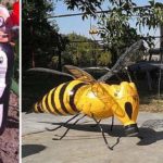 Садовые и дачные поделки: новинки (75 фото)