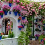 Садовые и дачные поделки: новинки (75 фото)