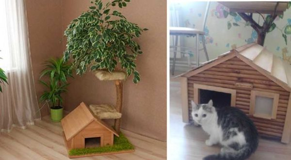 Кошачий домик своими руками