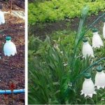 Садовые и дачные поделки: новинки (75 фото)