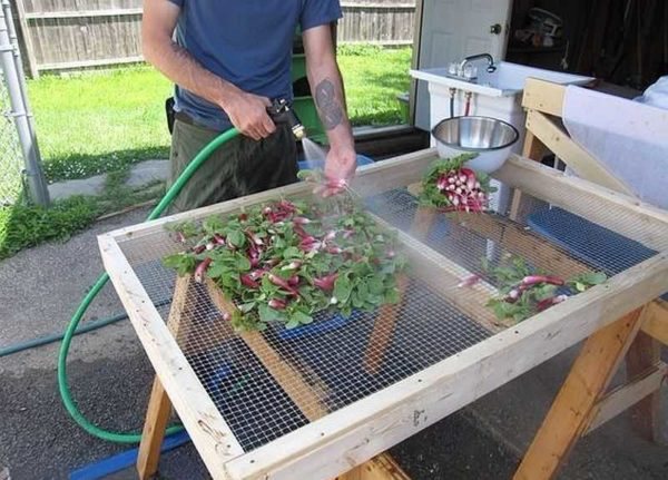 Садовые и дачные поделки: новинки (75 фото)