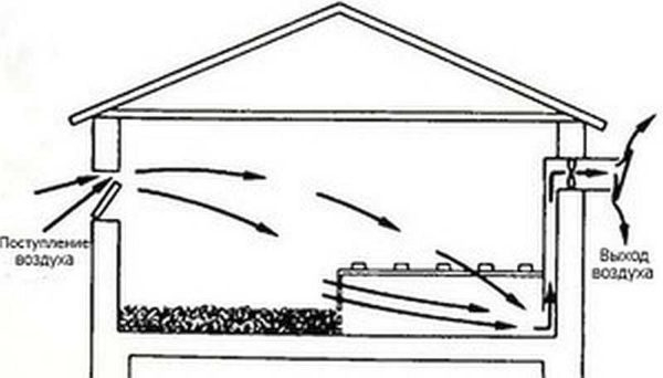 Как построить птичник на 10-20 кур своими руками Как построить птичник на 10-20 кур своими руками