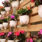 Садовые и дачные поделки: новинки (75 фото)