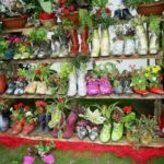 Садовые и дачные поделки: новинки (75 фото)