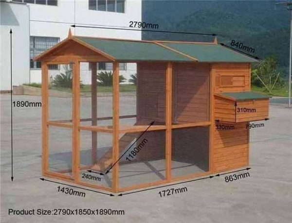 Как построить птичник на 10-20 кур своими руками Как построить птичник на 10-20 кур своими руками