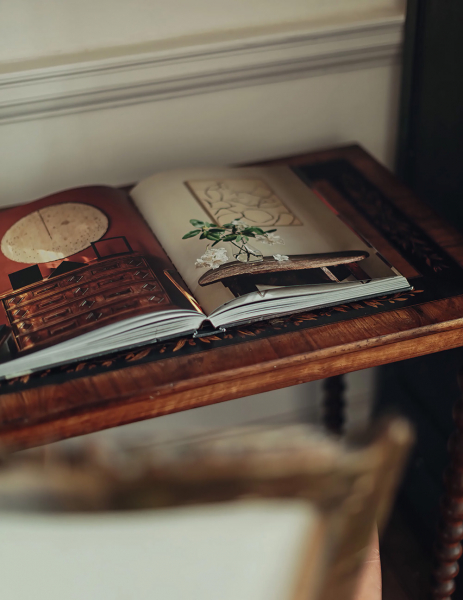 Спокойный и умиротворяющий интерьер старинного дома дизайнера красок в Бате Спокойный и умиротворяющий интерьер старинного дома дизайнера красок в Бате