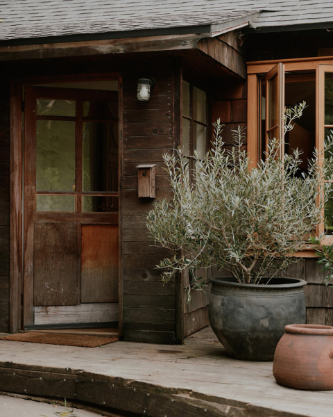 Этот обновлённый охотничий домик в Калифорнии — воплощение уютного дизайна в натуральном дереве