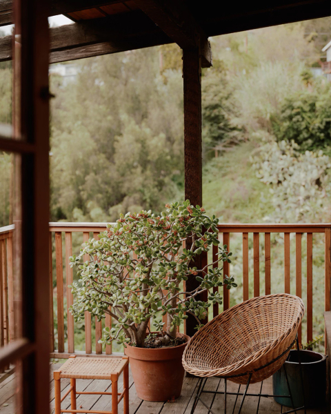 Этот обновлённый охотничий домик в Калифорнии — воплощение уютного дизайна в натуральном дереве