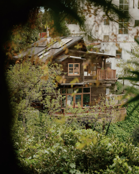 Этот обновлённый охотничий домик в Калифорнии — воплощение уютного дизайна в натуральном дереве