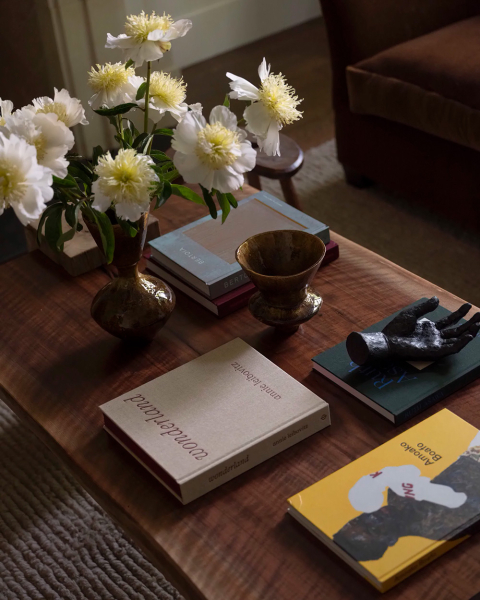 Как дизайнер Claire Staszak придала безликому новую дому в Чикаго характера и элегантности