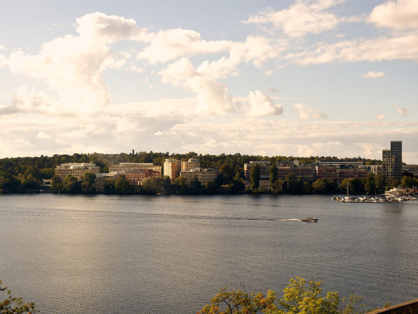 Необычная двухэтажная квартира в Стокгольме с видовой террасой