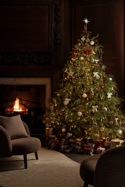 Открываем сезон праздничного декора вместе с HM Home