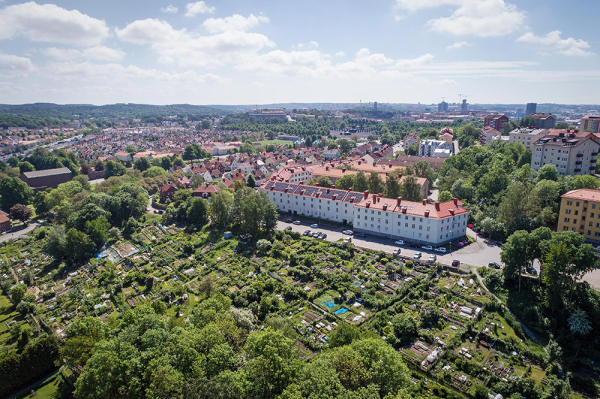 Прекрасная скандинавская квартира с терракотовыми стенами и нотками бохо