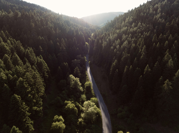 Роскошный минималистичный уют в горах Греции: новый отель MANNA Роскошный минималистичный уют в горах Греции: новый отель MANNA