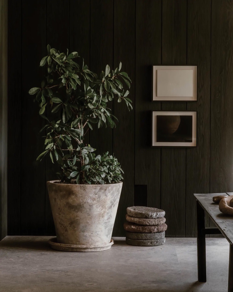 Стеклянные стены и стильный дизайн: современный дом в Мексике Стеклянные стены и стильный дизайн: современный дом в Мексике