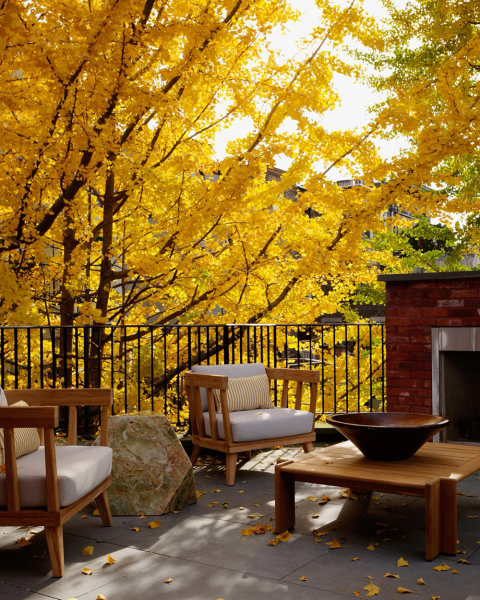 Тёплая эклектика в дизайне исторического таунхауса в Бруклине